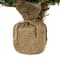 18" Pre-Lit Pine Artificial Christmas Tree in Burlap, Clear LED Lights